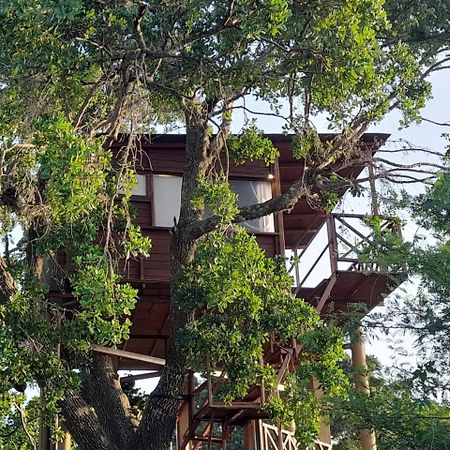 Hotel Leopard Nest - Glamping In Parque nacional Yala Exterior foto