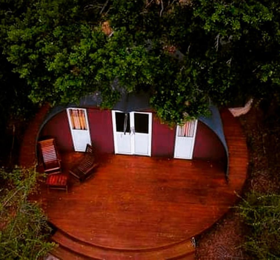 Hotel Leopard Nest - Glamping In Parque nacional Yala Exterior foto