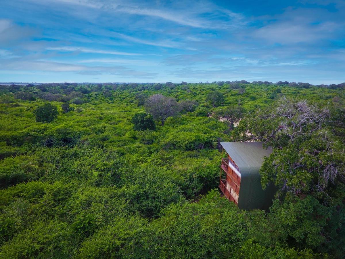 Hotel Leopard Nest - Glamping In Parque nacional Yala Exterior foto