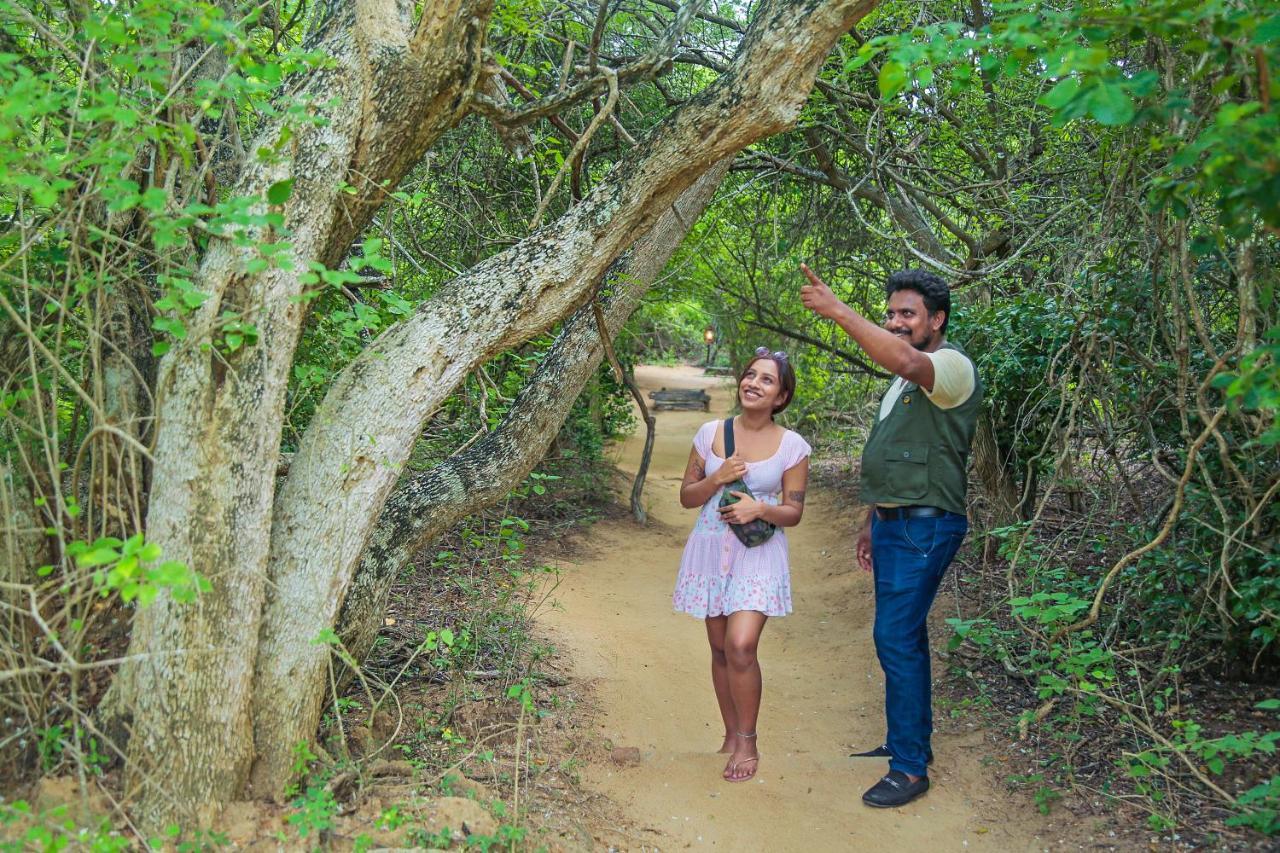 Hotel Leopard Nest - Glamping In Parque nacional Yala Exterior foto